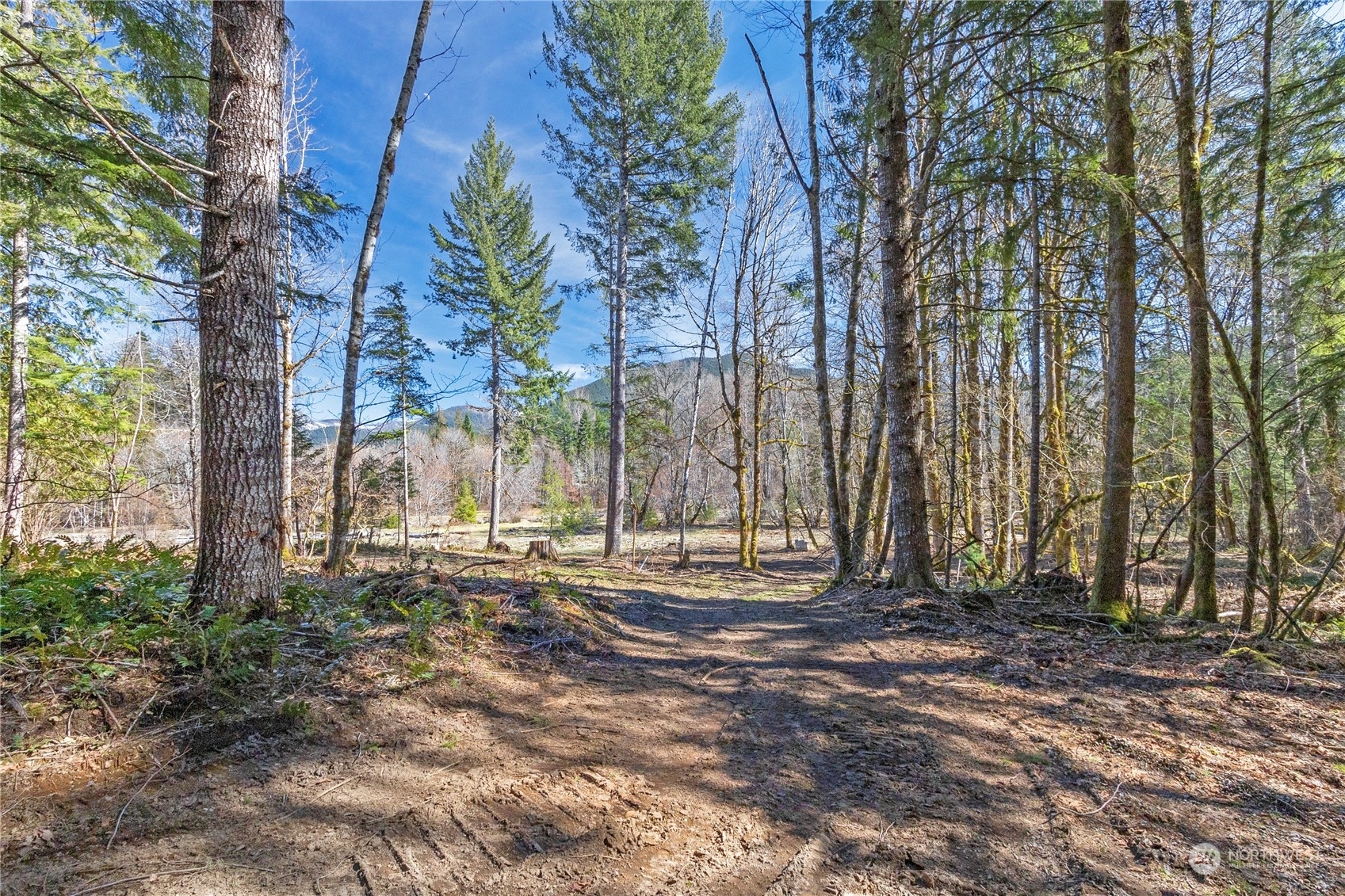 Property Photo: 122 Armstrong Lane WA 98361
