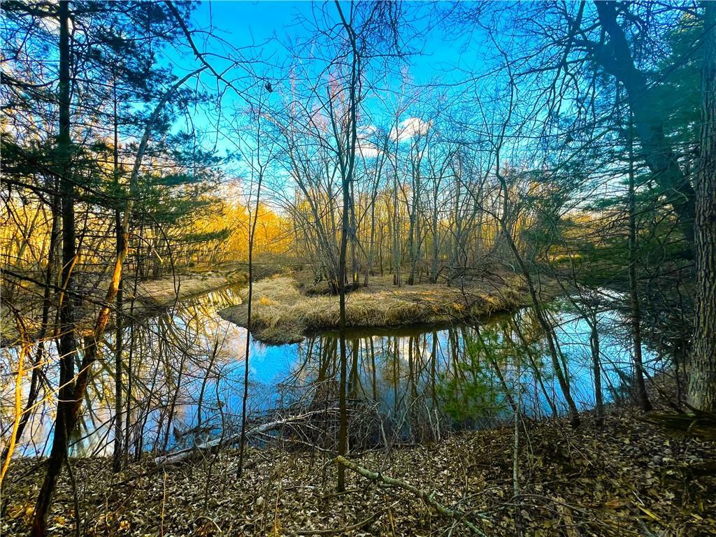 20 Acres On Thornapple Road  Ladysmith WI 54848 photo