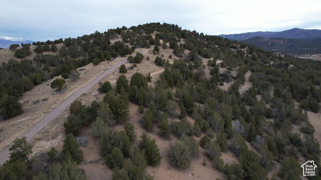 Property Photo:  35 Blackhawk Mt Estates Rd 35B  UT 84629 
