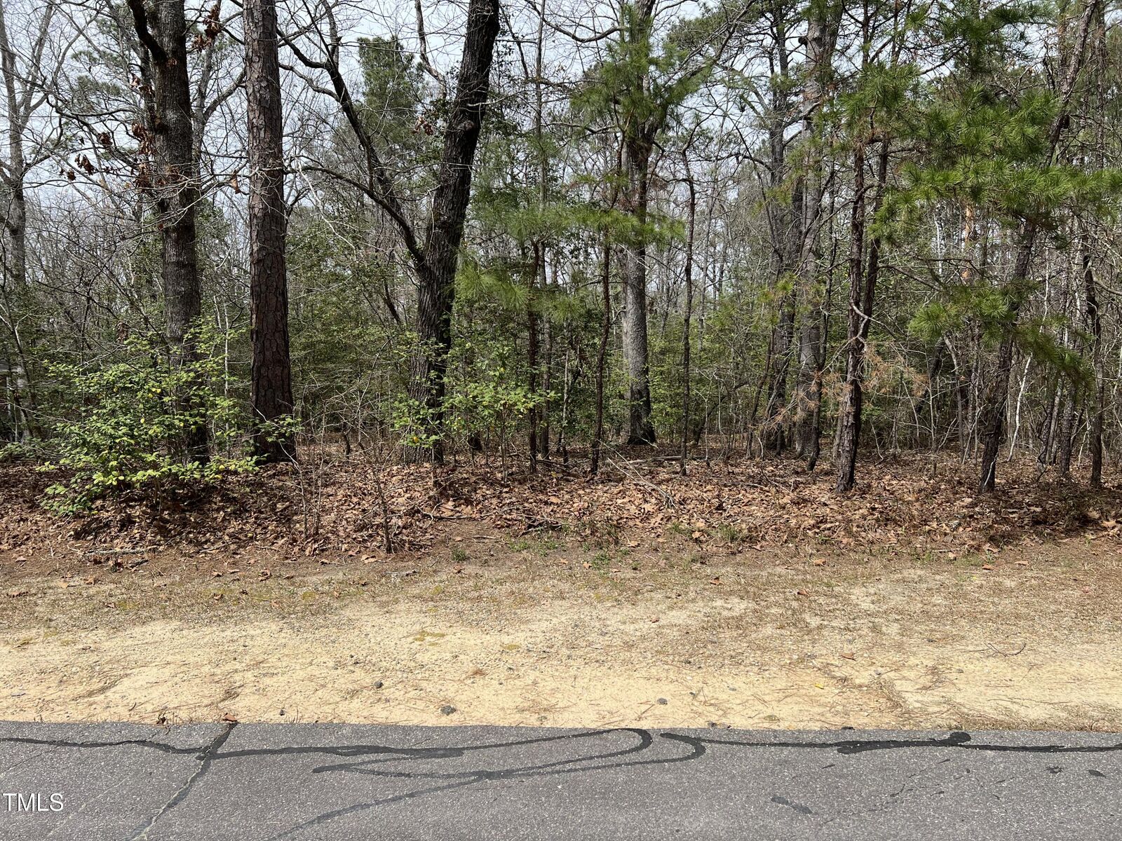 Property Photo: 707 Mimosa Drive NC 28394