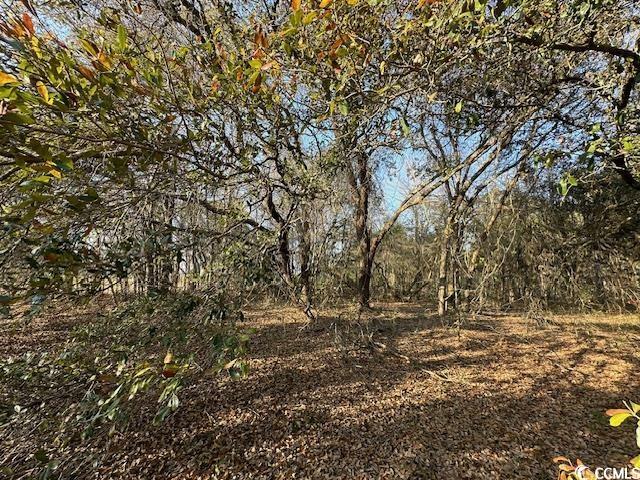 Property Photo:  Tbd Lot 2 McNabb Short Cut Rd.  SC 29569 