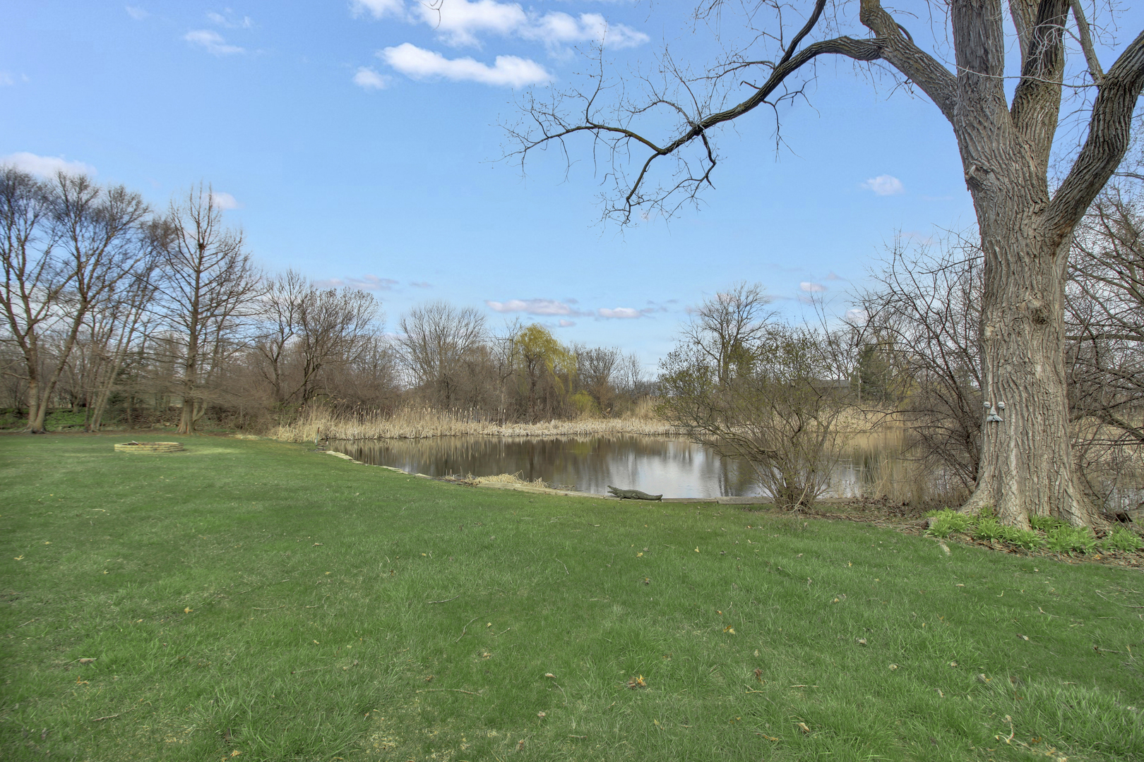 Property Photo:  13300 S Stephen Drive  IL 60464 