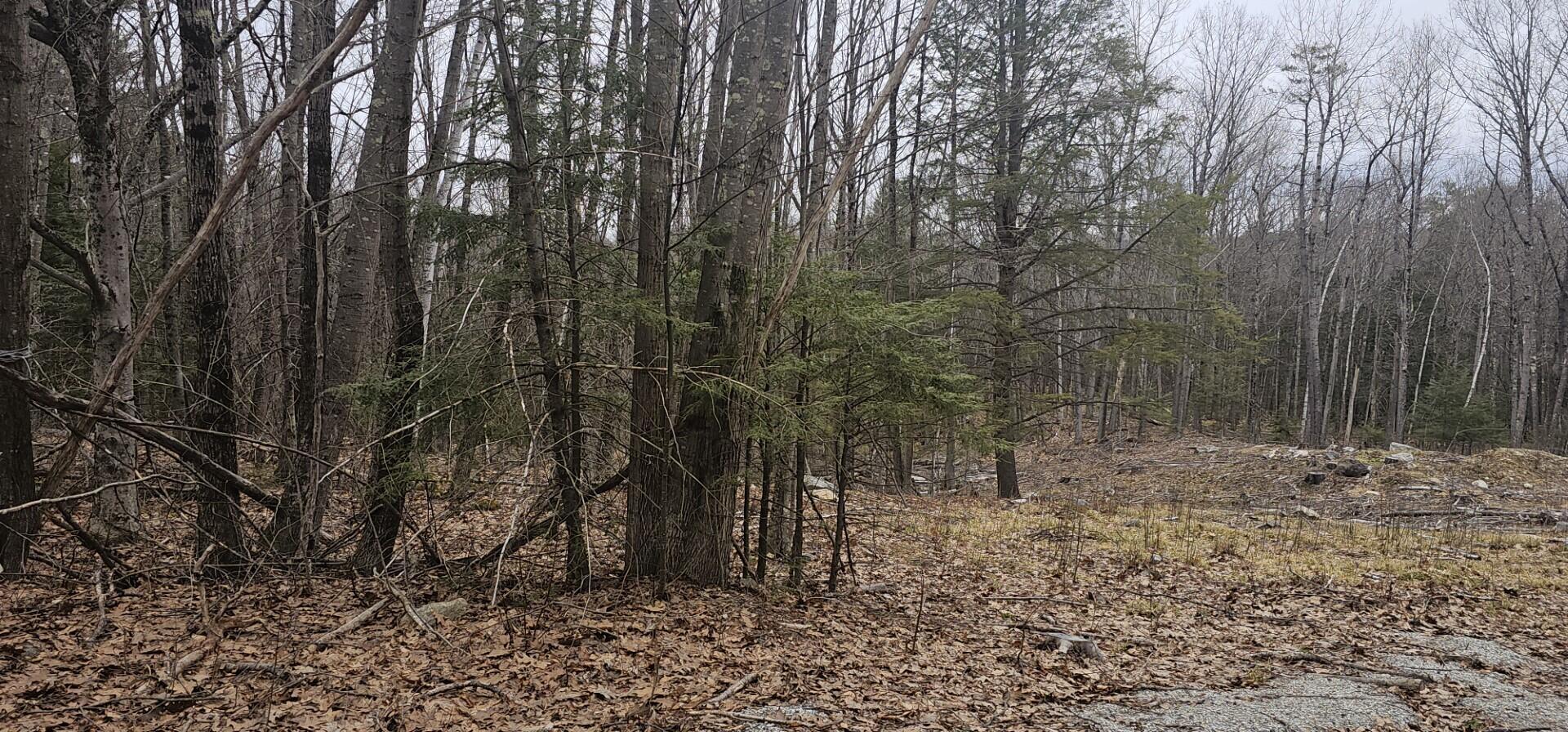 Property Photo: 42 Dyer Road ME 04240
