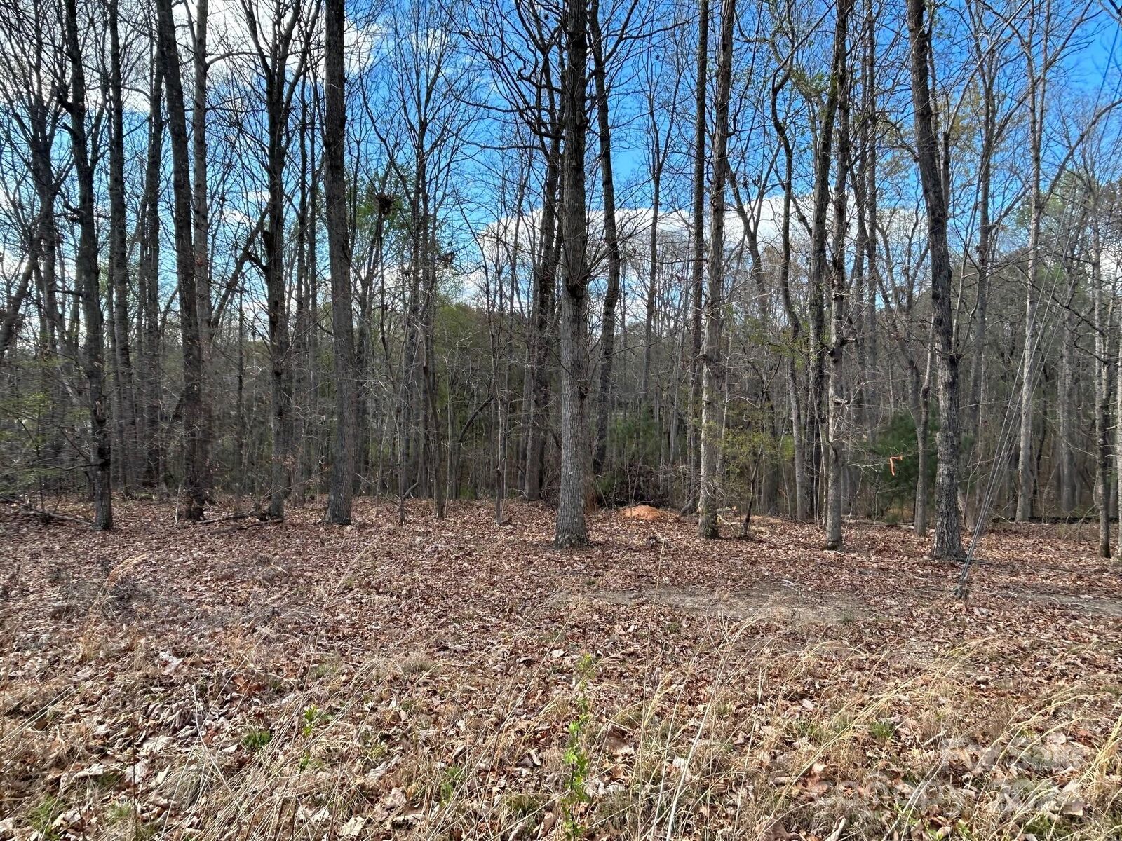 Property Photo: 3980 Hoke Street NC 28610