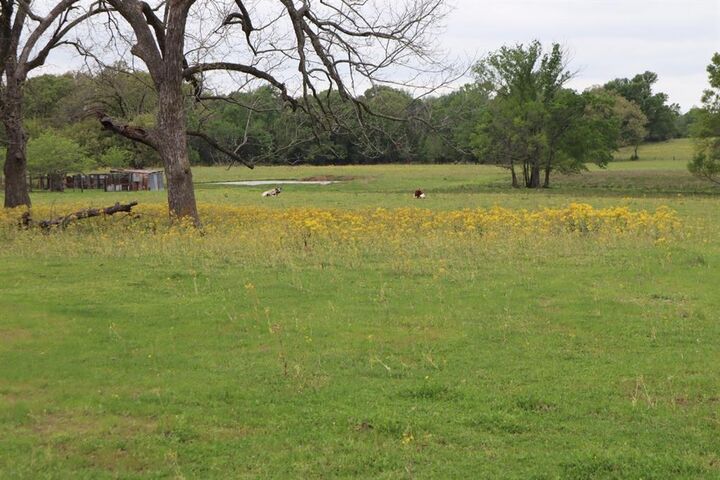 Tbd Rs County Road 2365  Alba TX 75410 photo