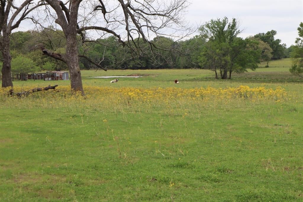 Property Photo:  Tbd Rs County Road 2365  TX 75410 