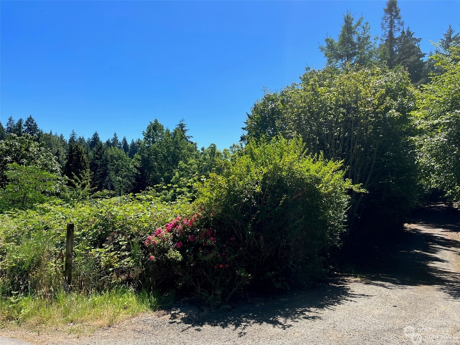 Property Photo:  0 Lot C Burwell  WA 98312 