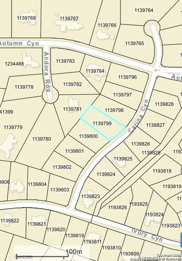 Property Photo: Lot 3 Carina Canyon TX 78255