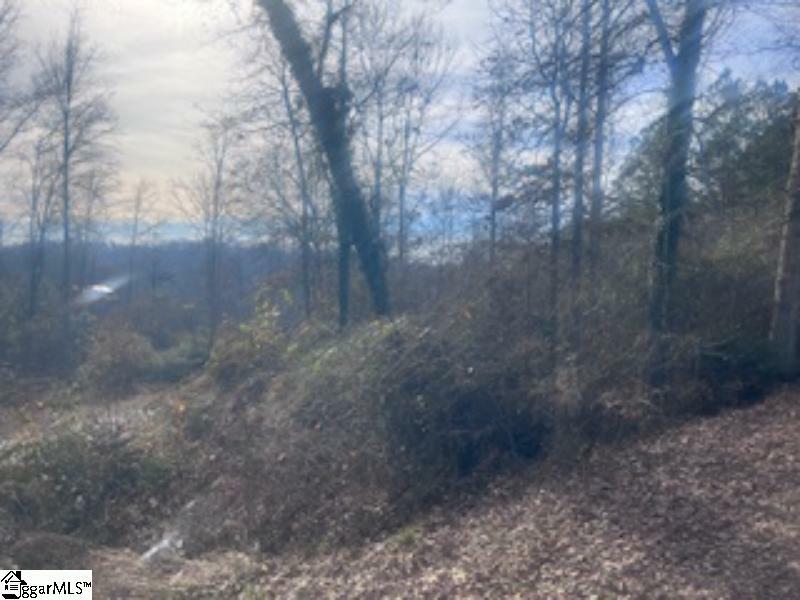 Property Photo:  000A Riverbend Road Lot 65  SC 29643 