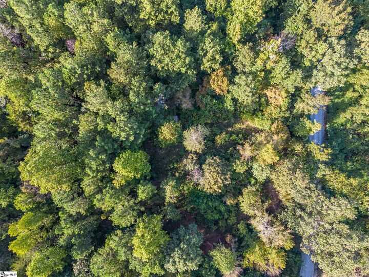 Property Photo:  000A Riverbend Road Lot 65  SC 29643 