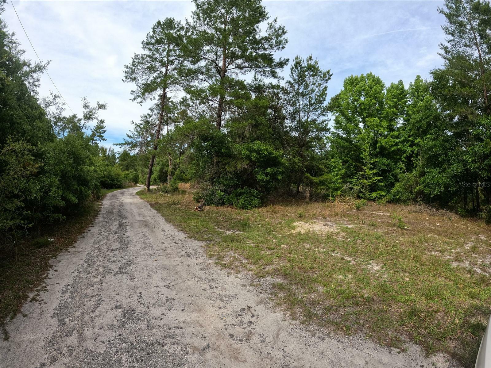 Property Photo: 43928 Sterling Road FL 32767