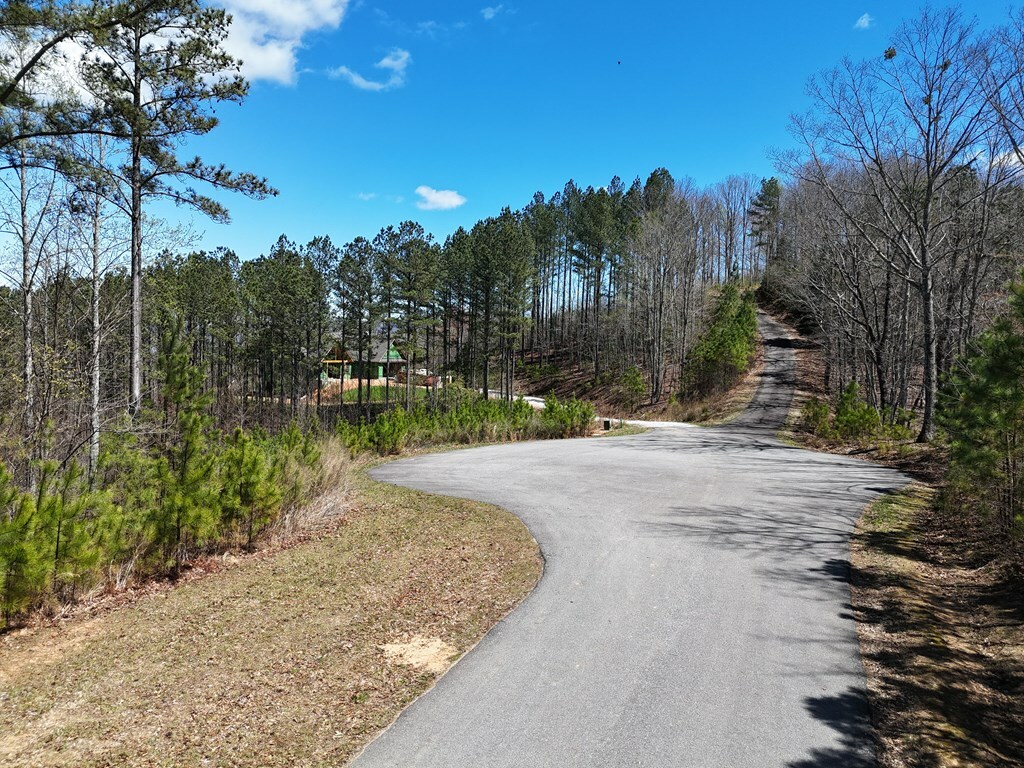 Property Photo:  Lot 86 Thirteen Hundred  GA 30512 