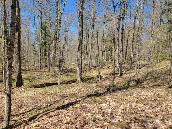 Property Photo:  Lot 120 Beartown Road  VT 05489 