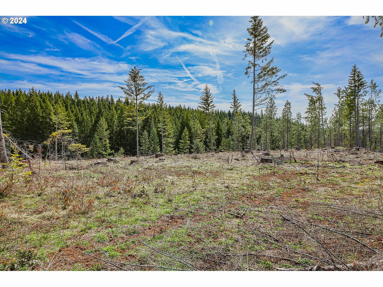 Property Photo:  Lot 1 Plantation Dr  WA 98672 