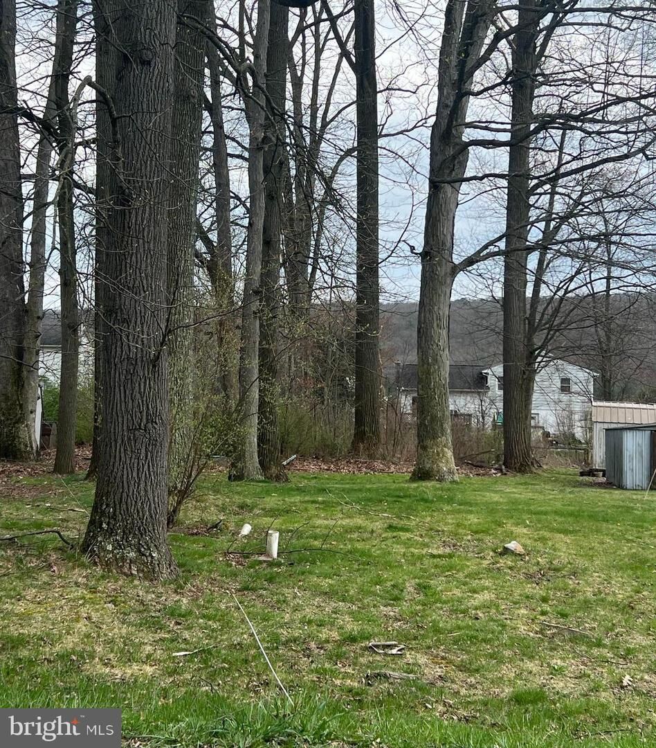 Property Photo: 0 Maple Street PA 17980