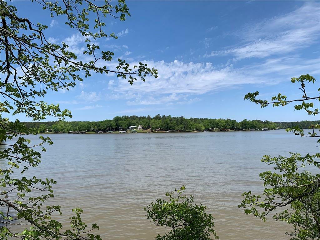 Property Photo: 0 Frontier Drive GA 31087