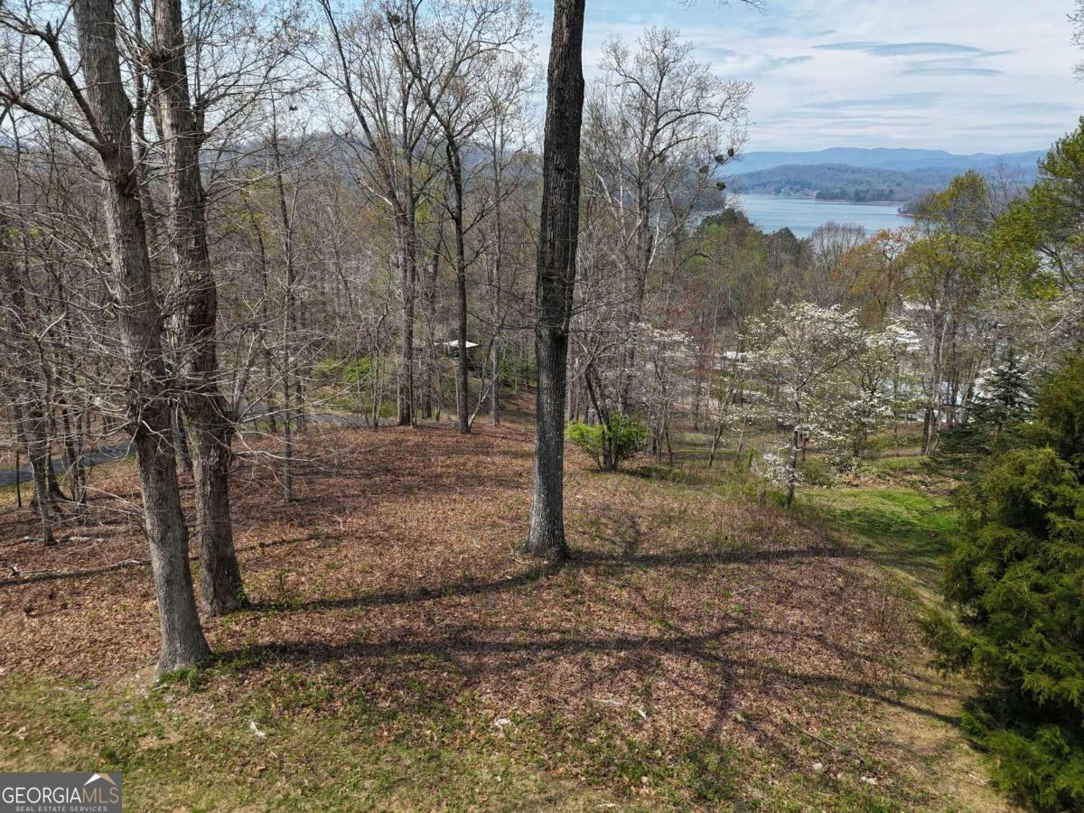 Lot 12 Chatuge Cove Drive  Hayesville NC 28904 photo