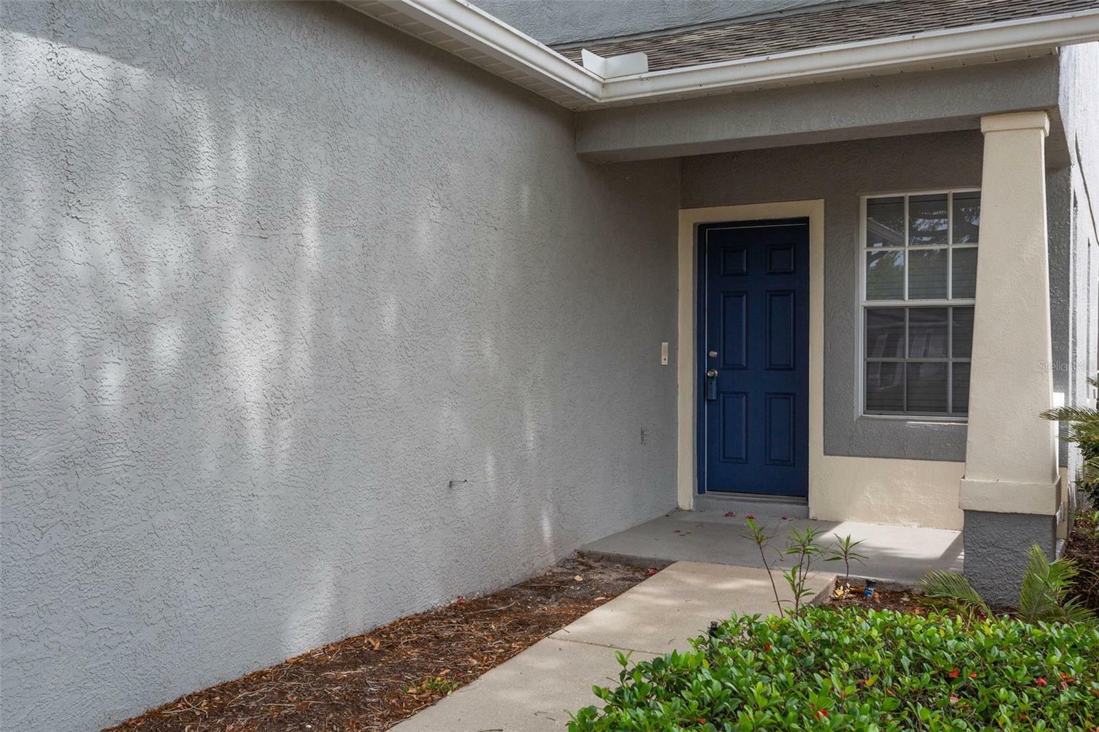 Property Photo:  18105 Birdwater Drive  FL 33647 