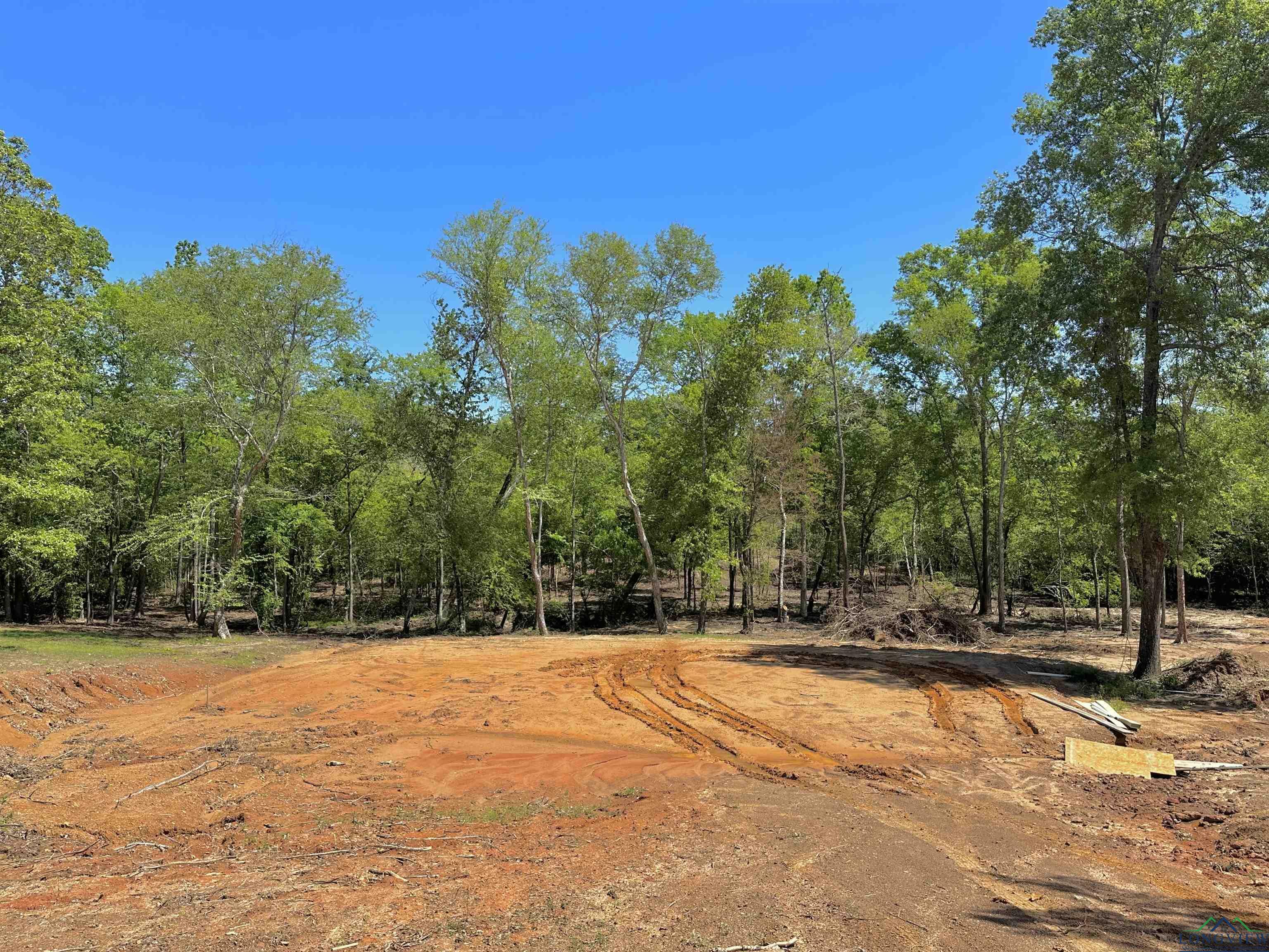 Property Photo:  160 Cherokee Creek Dr 160 County Road 290D E  TX 75604 