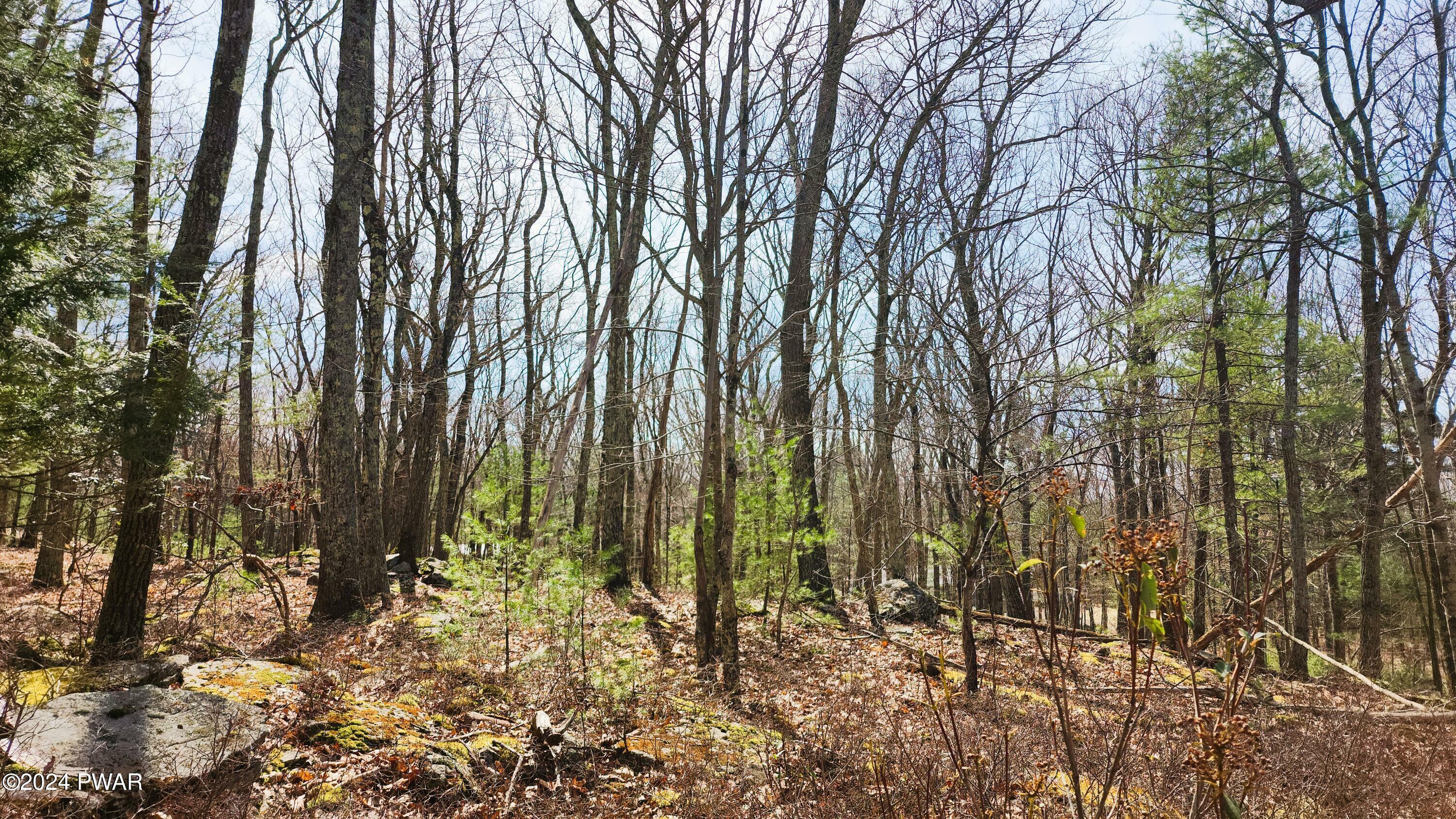 Property Photo:  Lot 34-36 Neversink Road  PA 18458 