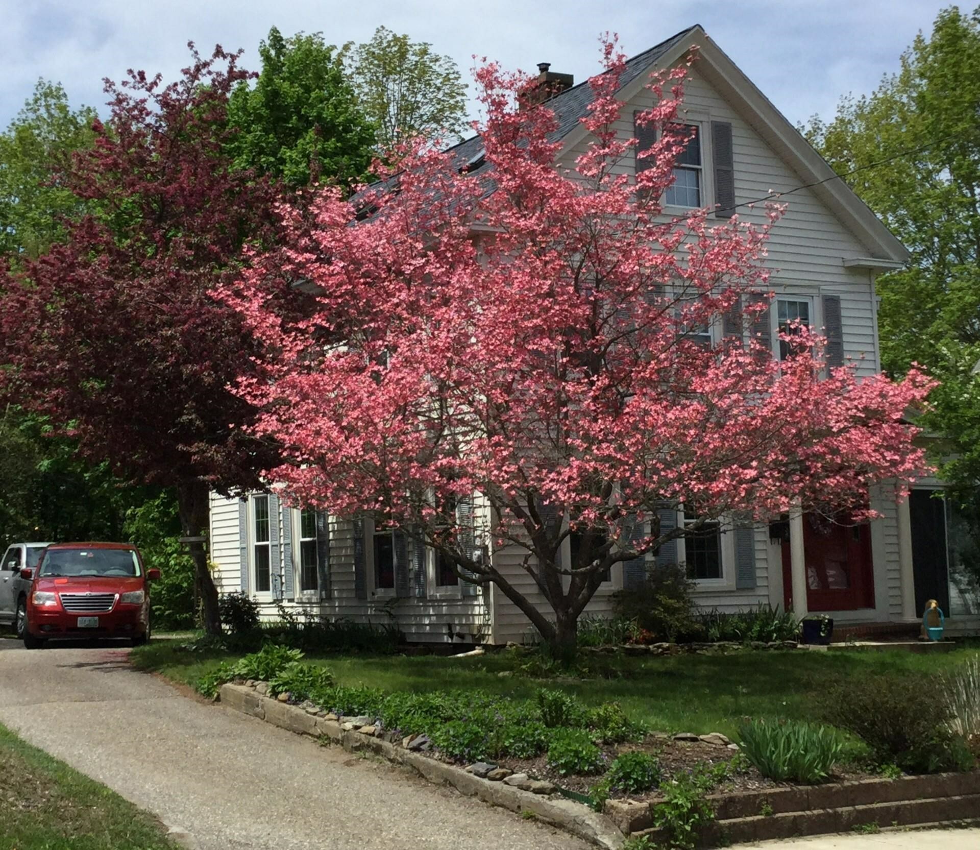 Property Photo: 55 Belknap Street NH 03820