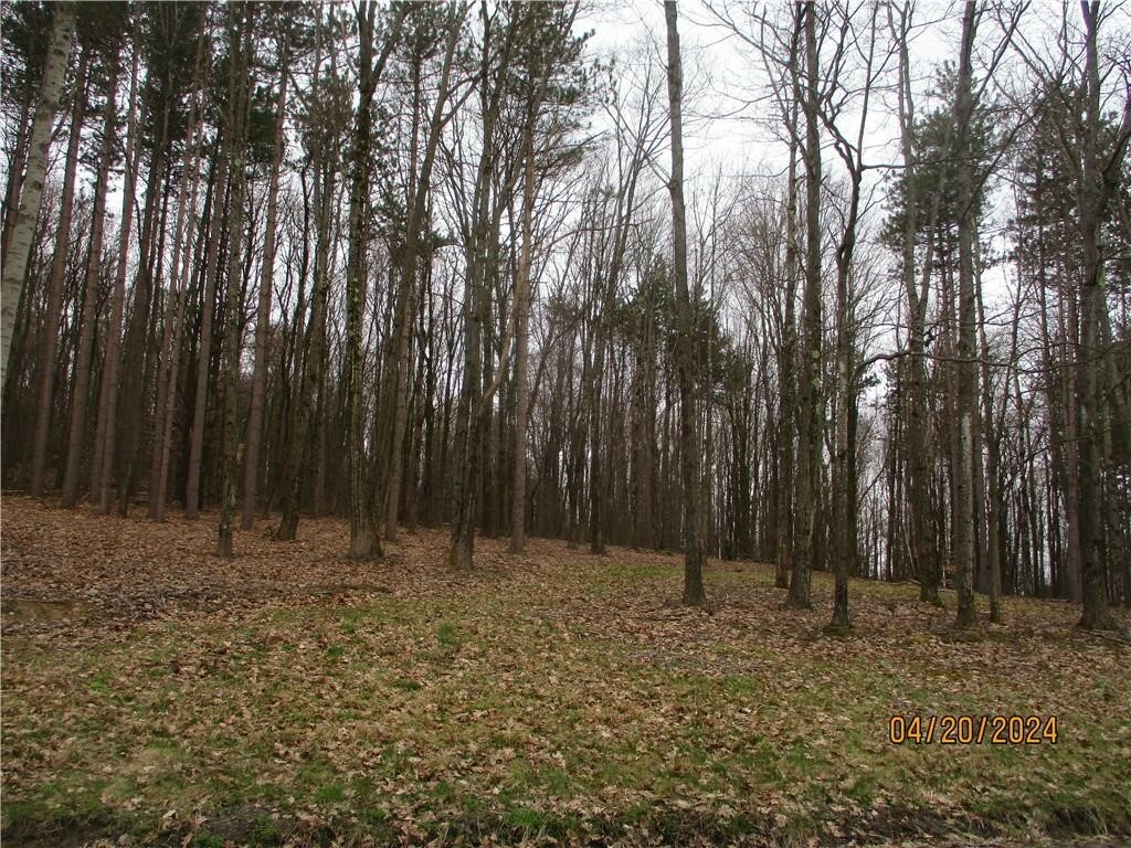 Property Photo:  72 Dodd L-1 Road  NY 13865 