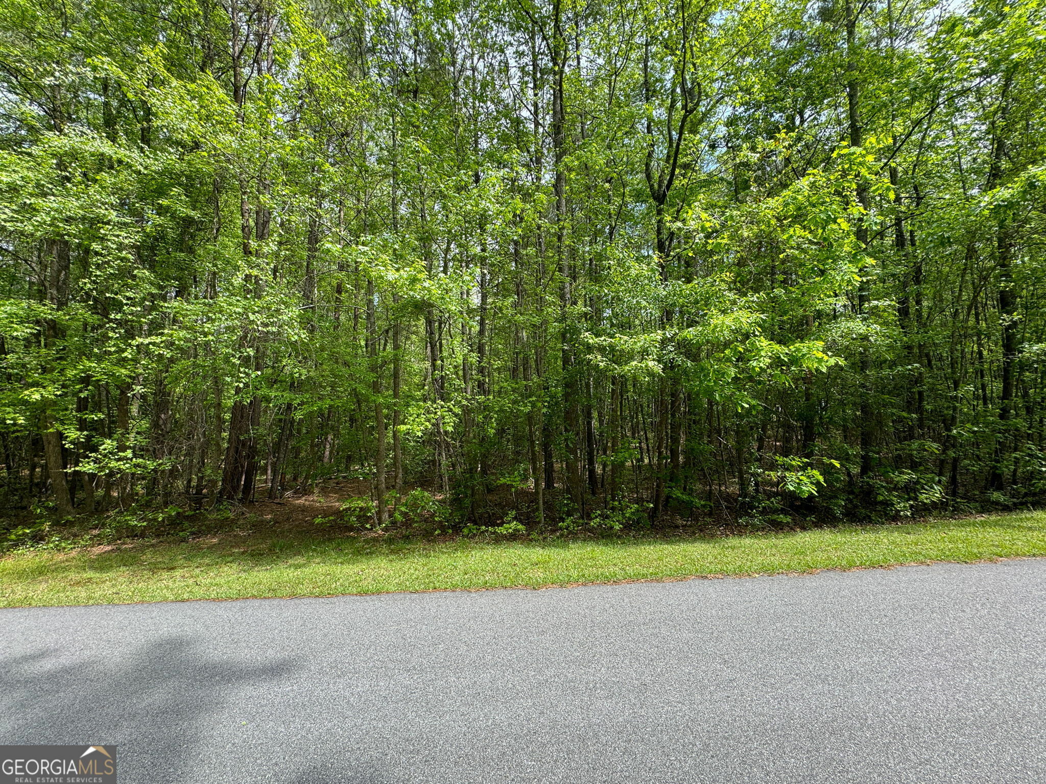 Property Photo:  0 Lake Stone Lea Drive  GA 30054 