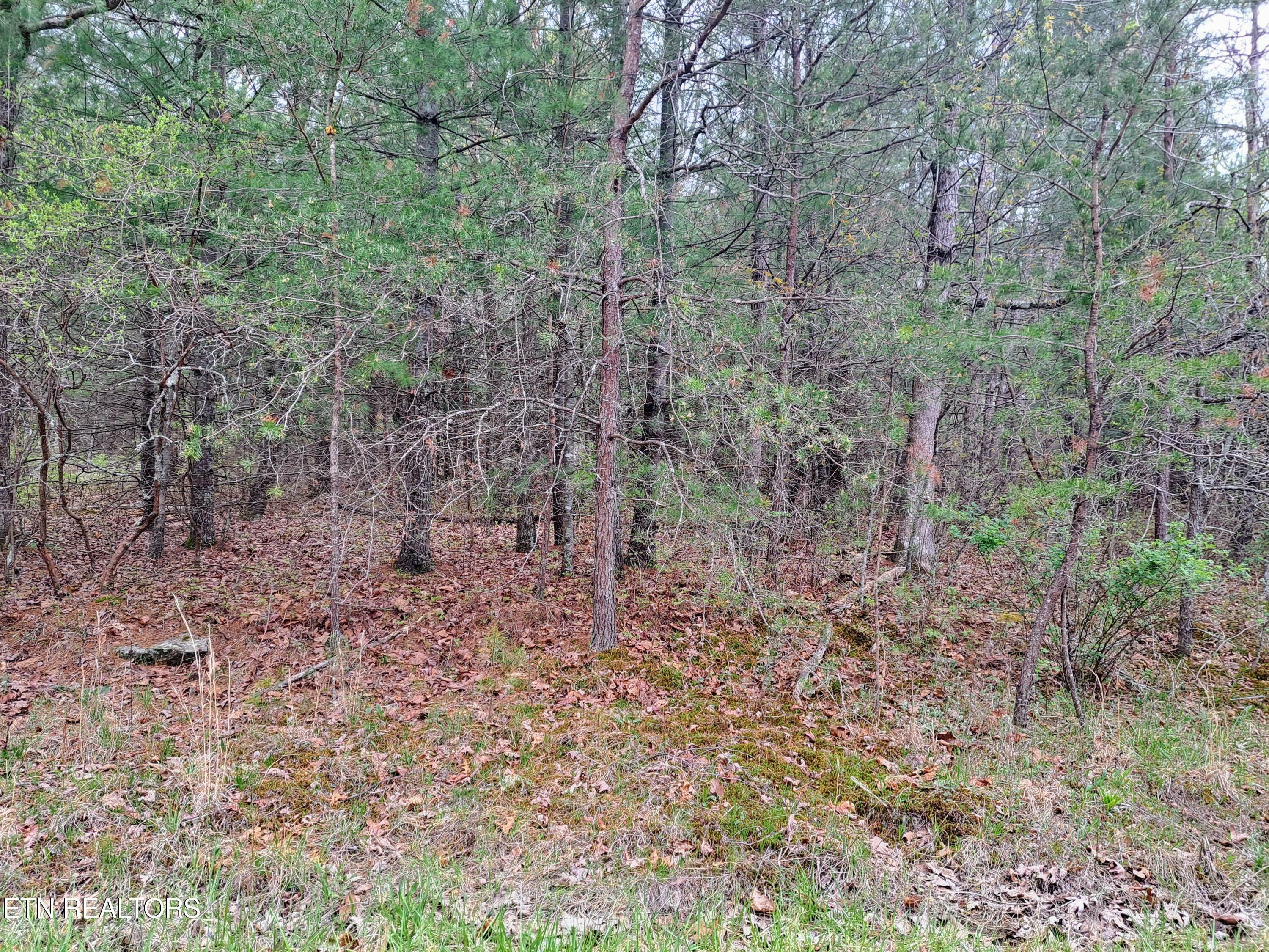 Property Photo:  927 Paola Drive  TN 38572 