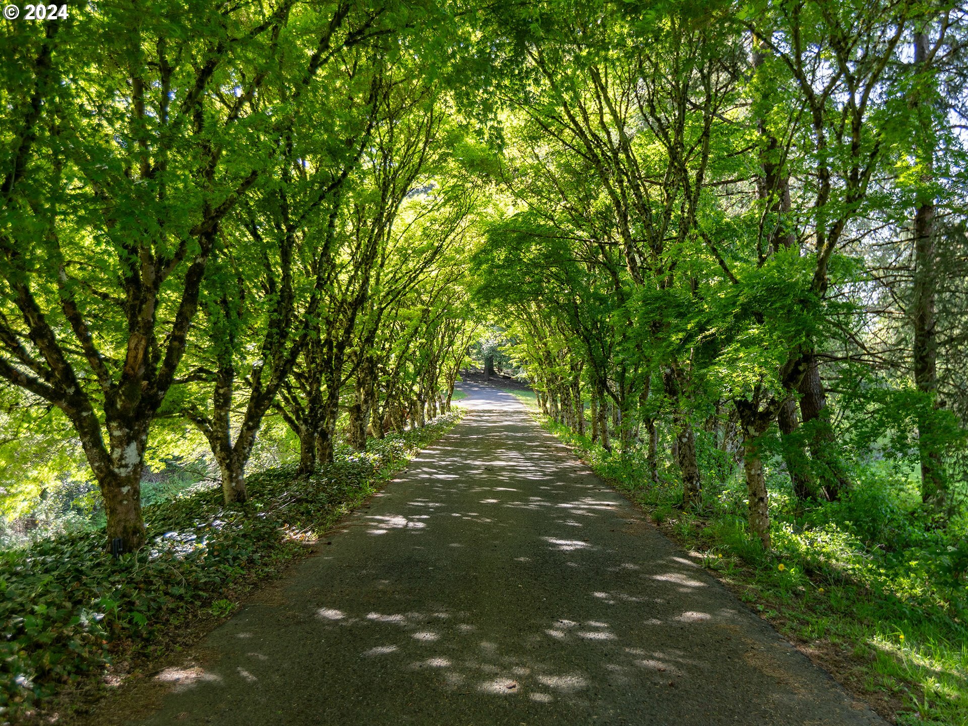 Property Photo:  1426 NW Ostenson Canyon Rd  WA 98607 