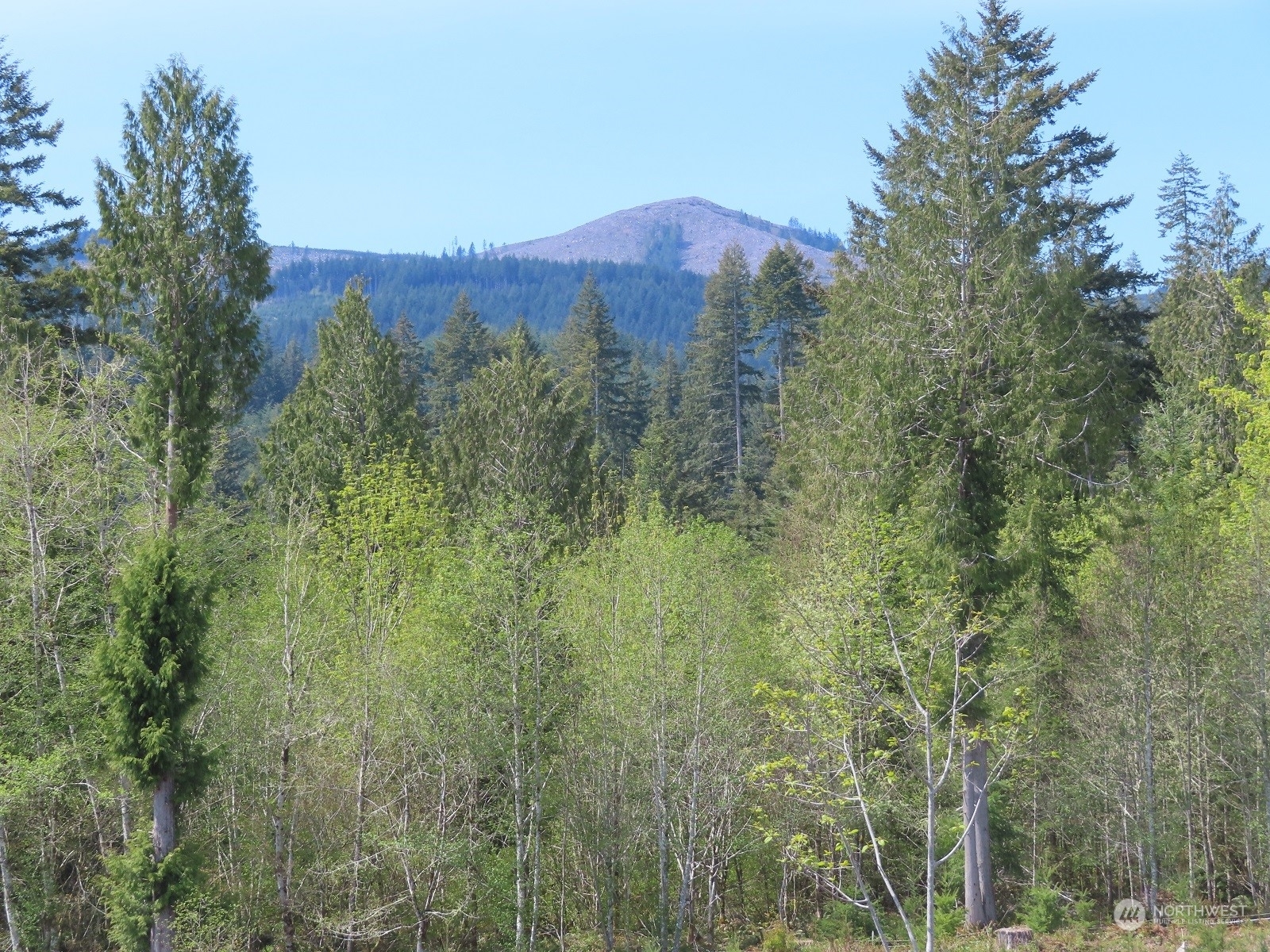 Property Photo: 234 Herman Lewis Road WA 98531