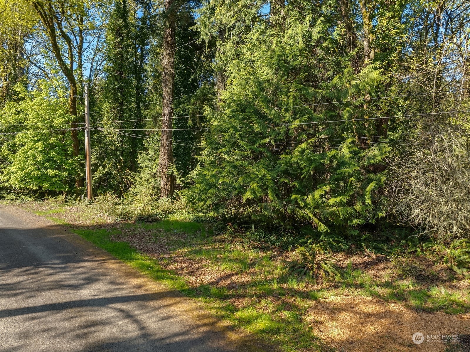 Property Photo:  0 Venice Loop NE  WA 98110 