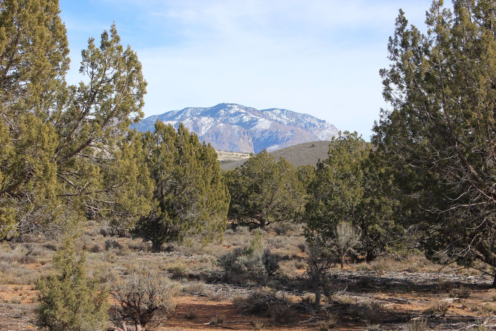 Property Photo: 1409 Homestead Dr E UT 84783
