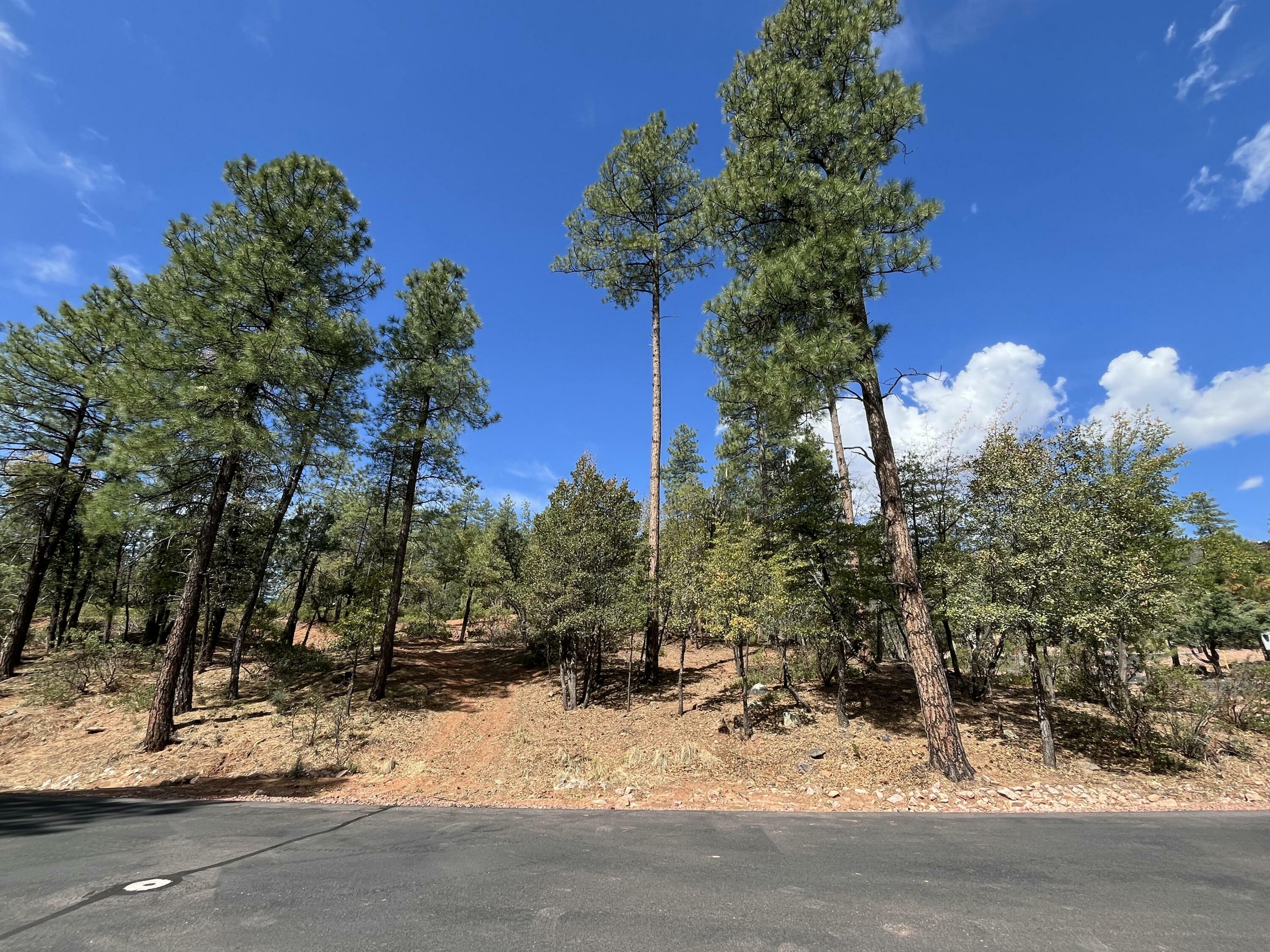 Property Photo: Lot 19 Strawberry Hollow AZ 85544