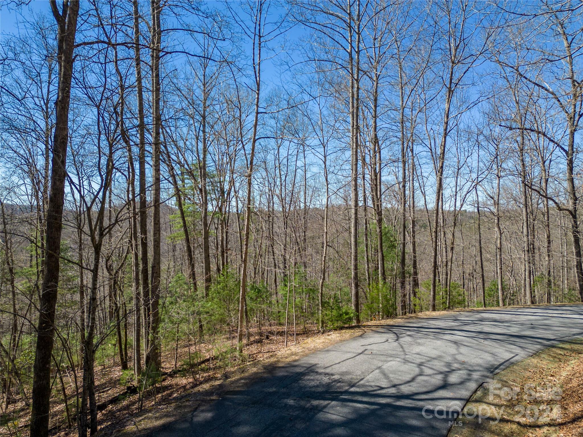 Property Photo:  132 Overlook Park Drive 51  NC 28792 