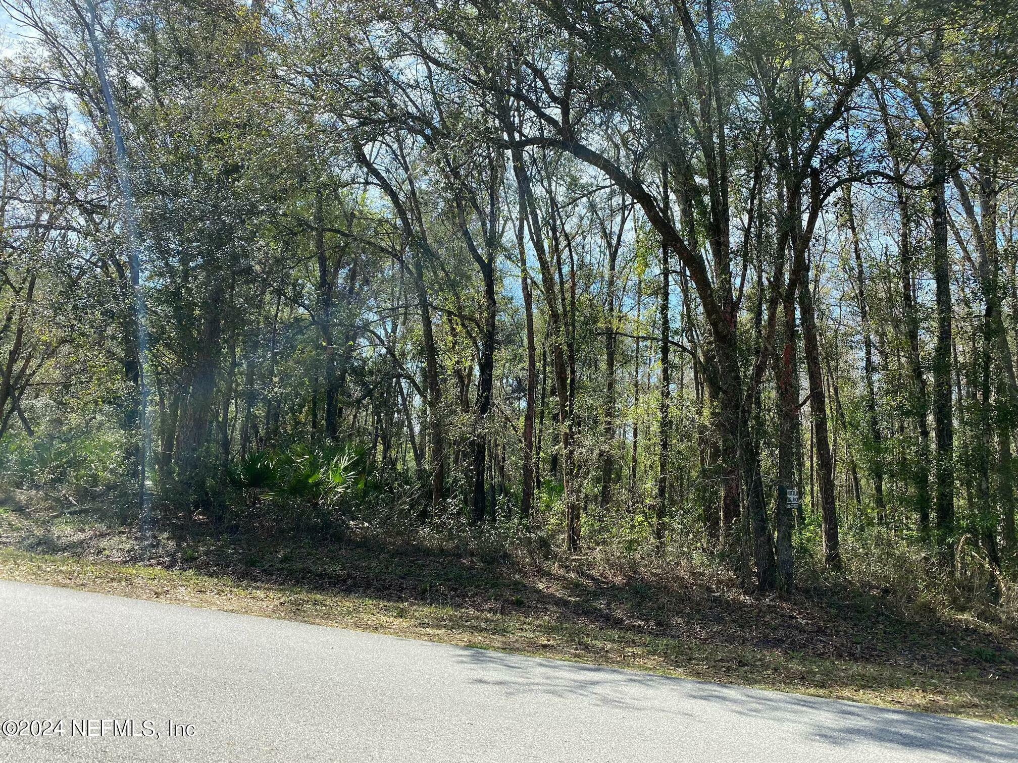 Property Photo:  9935 E Deep Creek Boulevard  FL 32145 