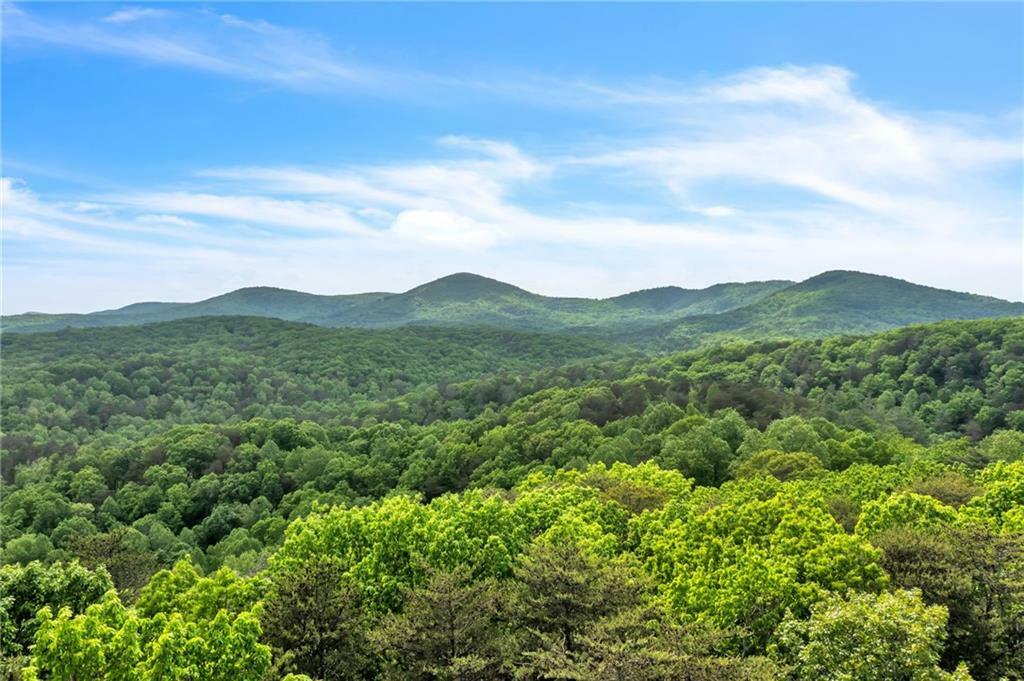 Property Photo:  0 Upper Salem Church Road  GA 30143 