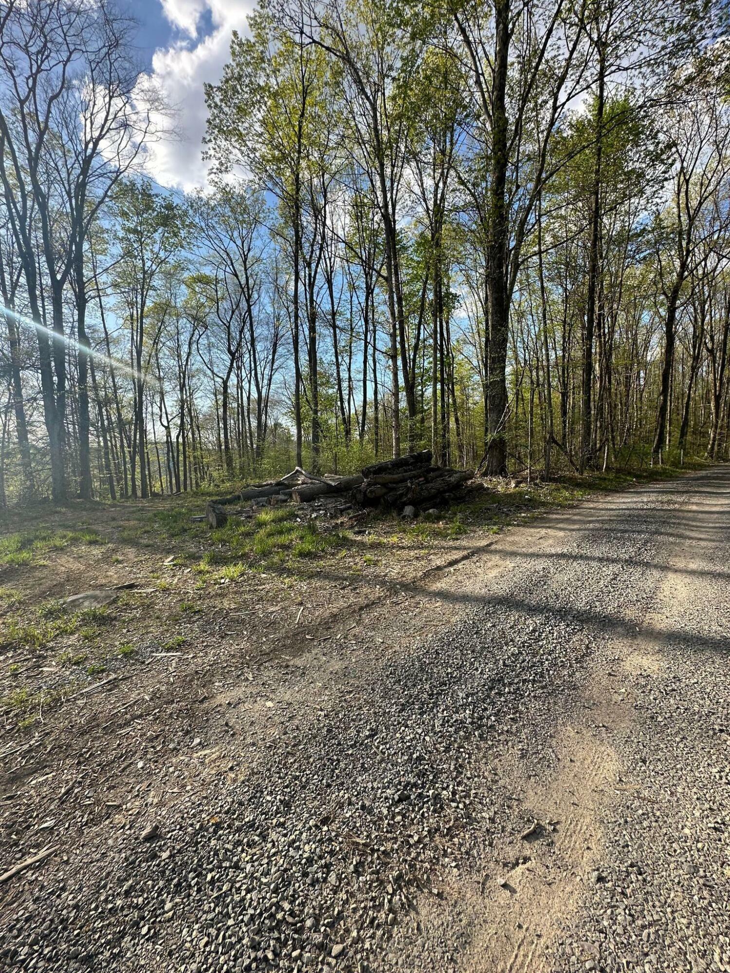 Property Photo:  00 State Rd 18  WV 26681 