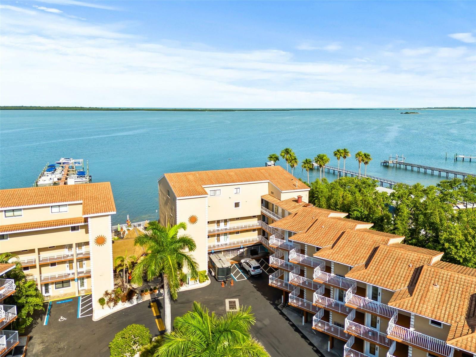 Property Photo:  1420 Bayshore Boulevard 206  FL 34698 