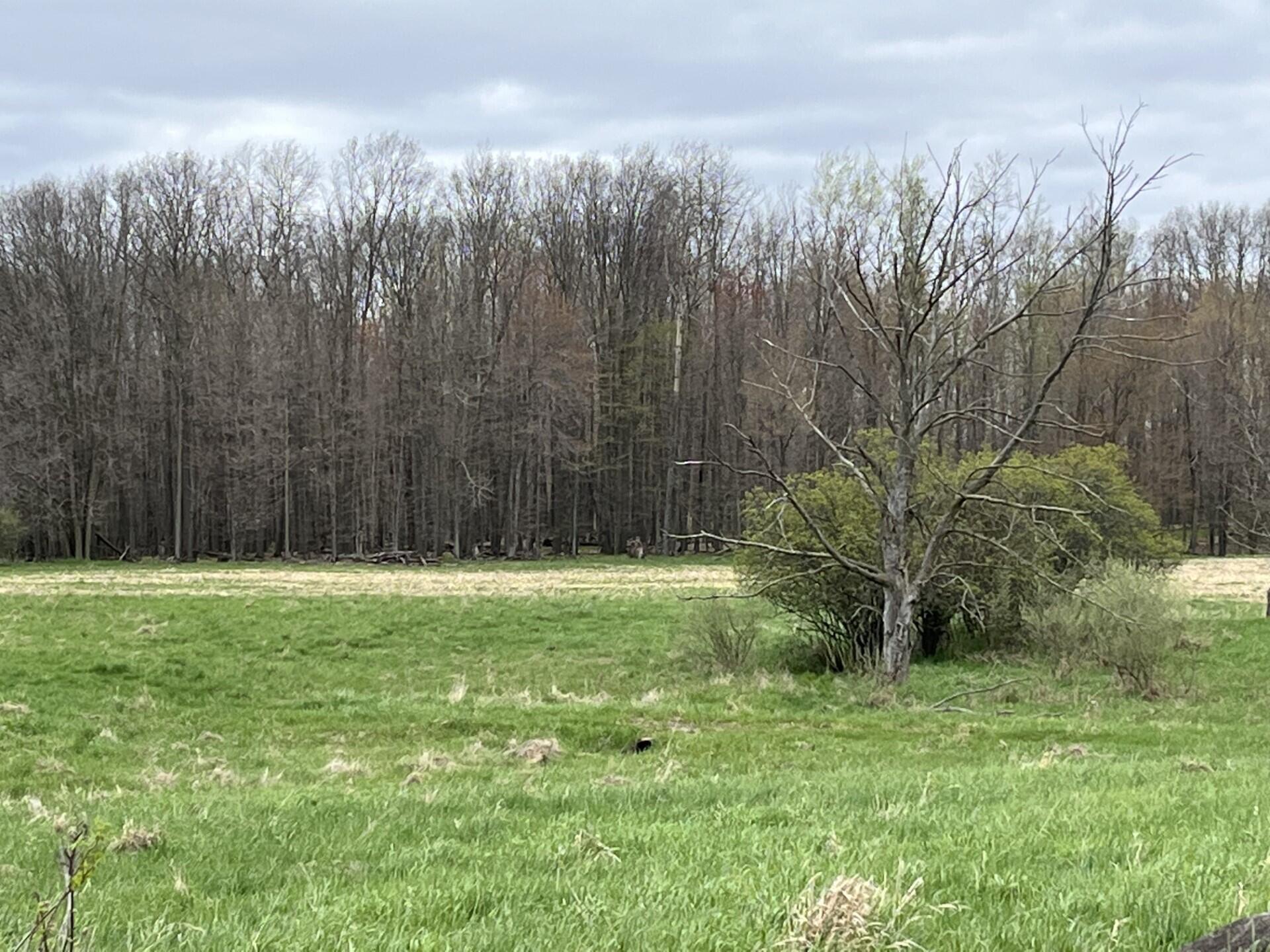 Property Photo: 12044A 150th Avenue MI 49307