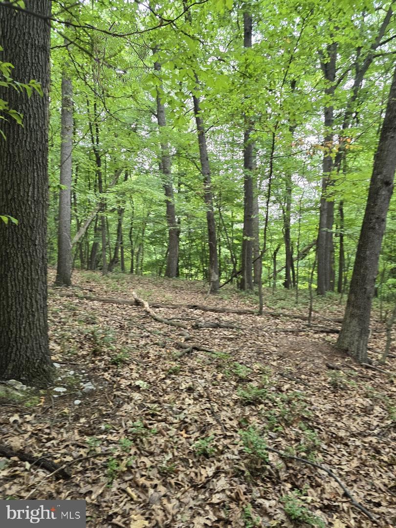 0 S Mountain Road  Dillsburg PA 17019 photo