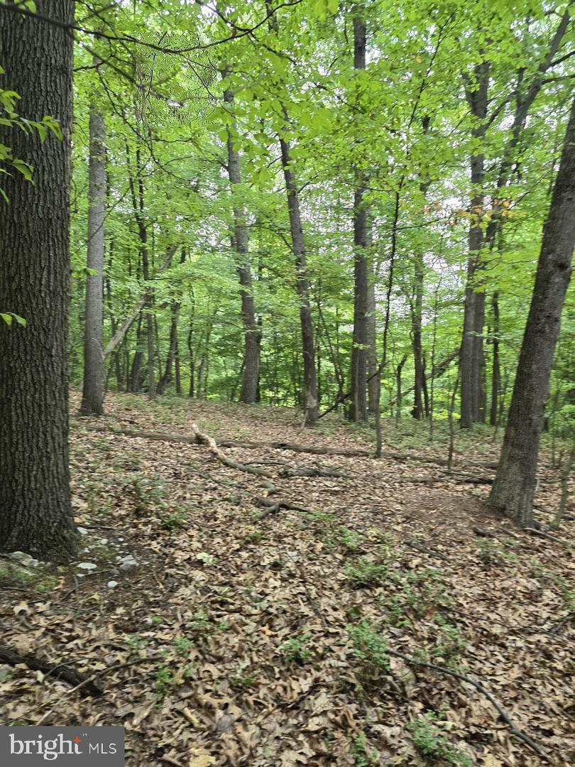 Property Photo:  0 S Mountain Road  PA 17019 