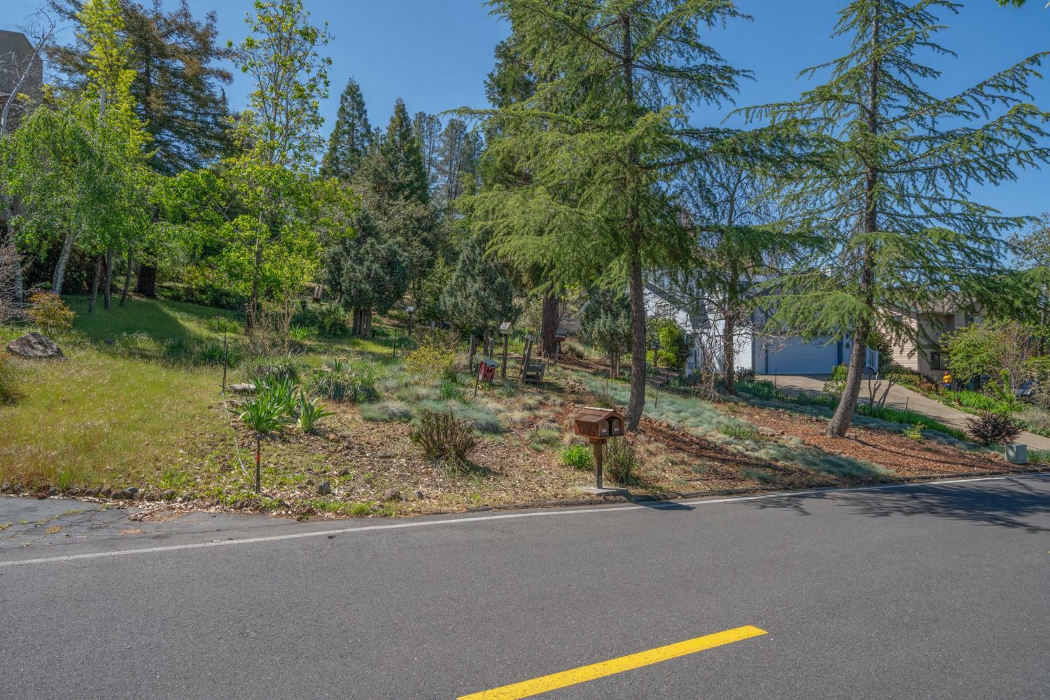 Property Photo:  731 E Dogwood Drive  CA 95247 