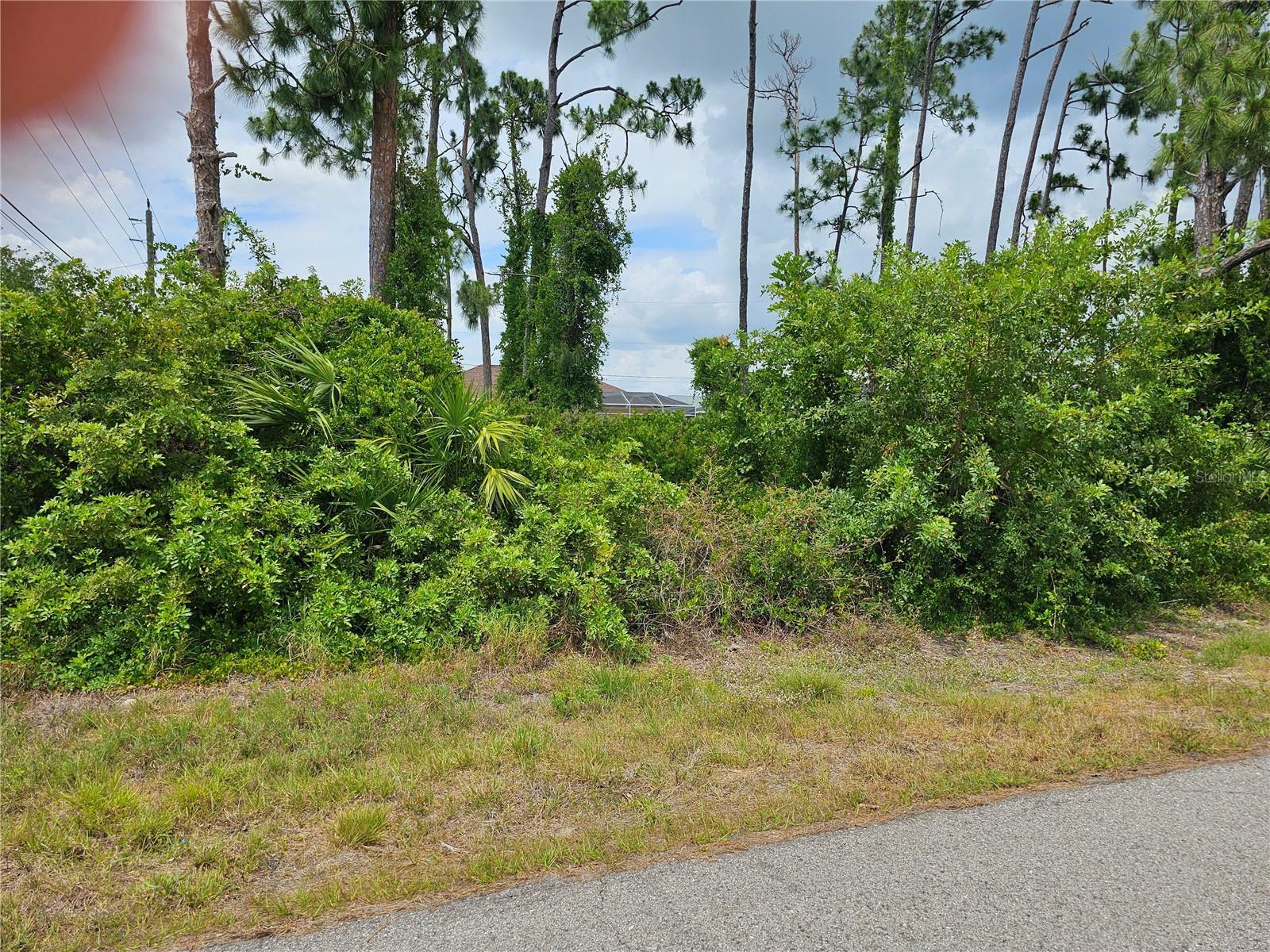 Property Photo:  18494 Blair Avenue  FL 33948 