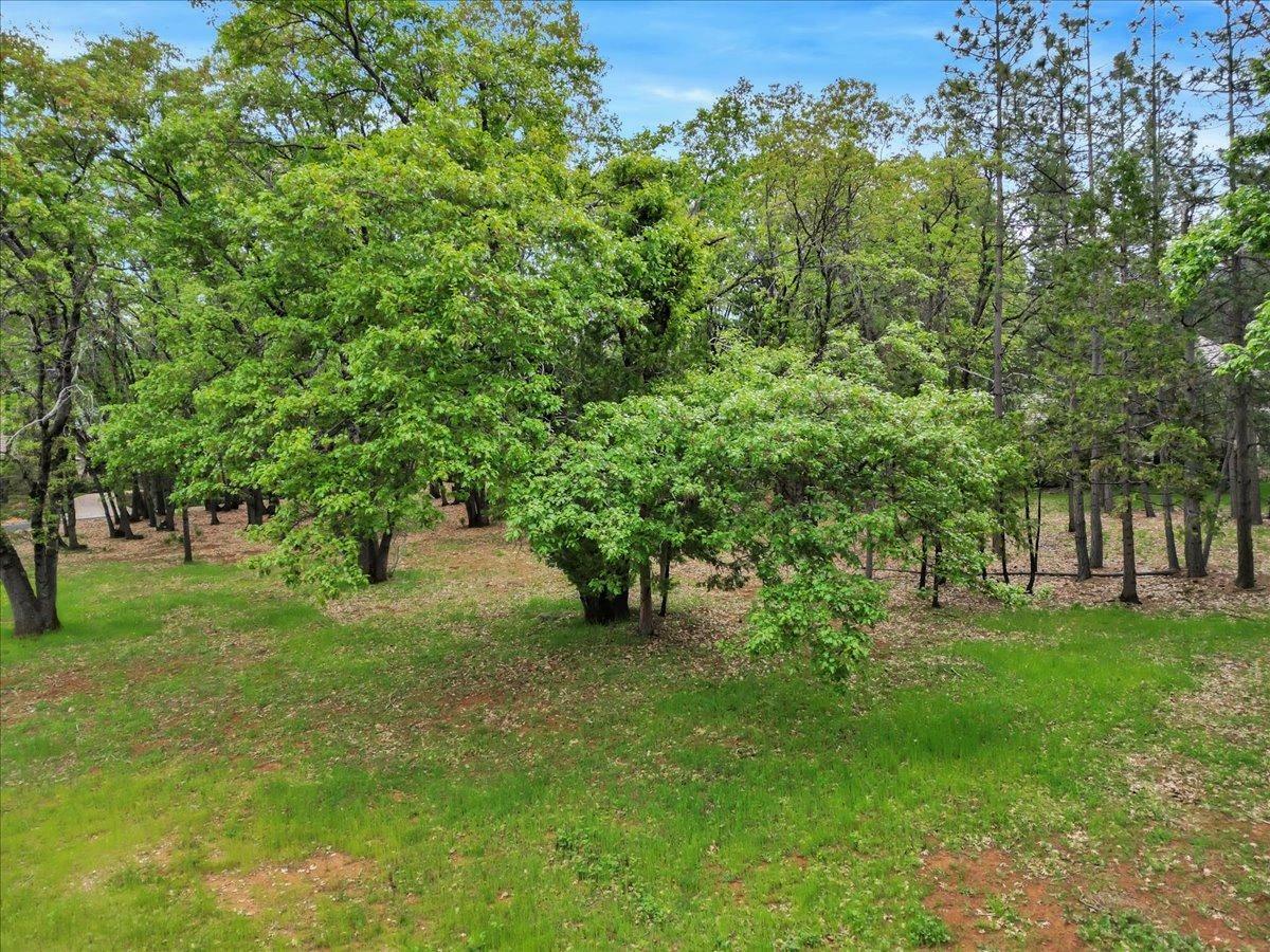 Property Photo: 12968 Somerset Drive CA 95945