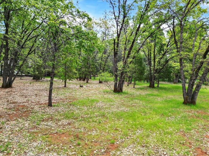 Property Photo:  12968 Somerset Drive  CA 95945 
