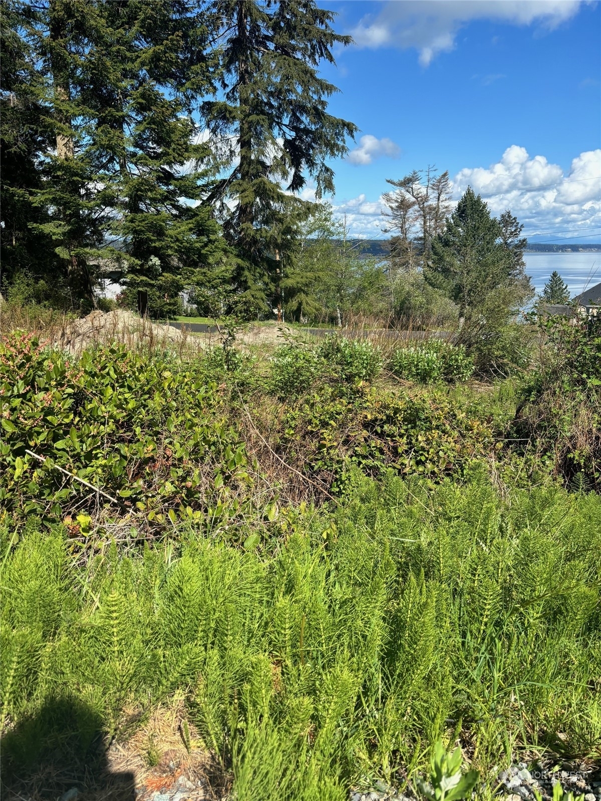 Property Photo:  0 Xxx North Bluff Rd  WA 98239 