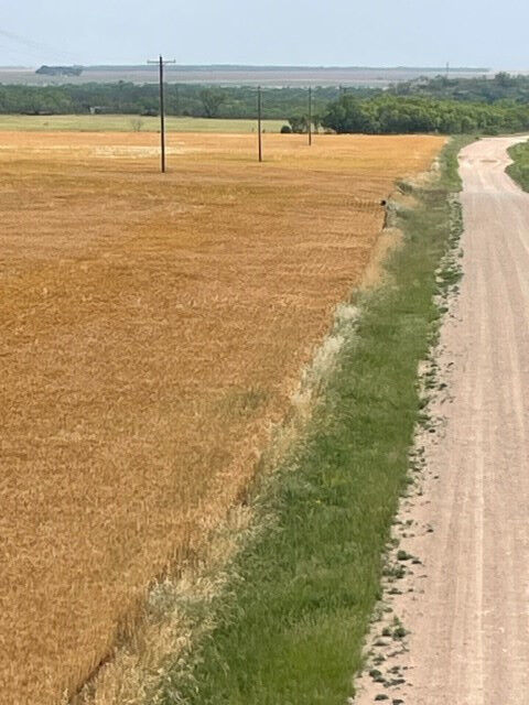 Property Photo:  000 County Rd 289  TX 76821 