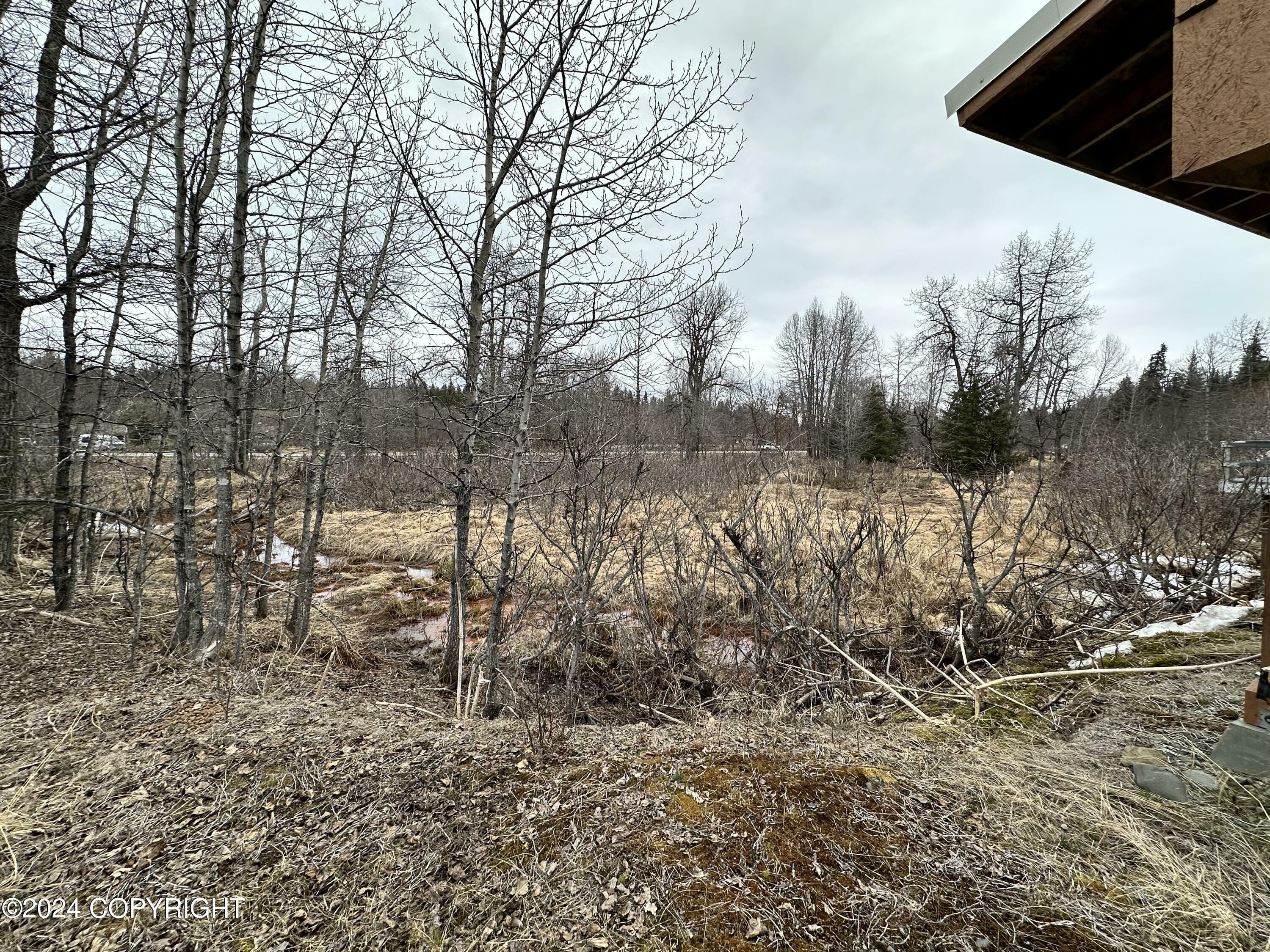 Property Photo:  73564 Ann Road  AK 99556 