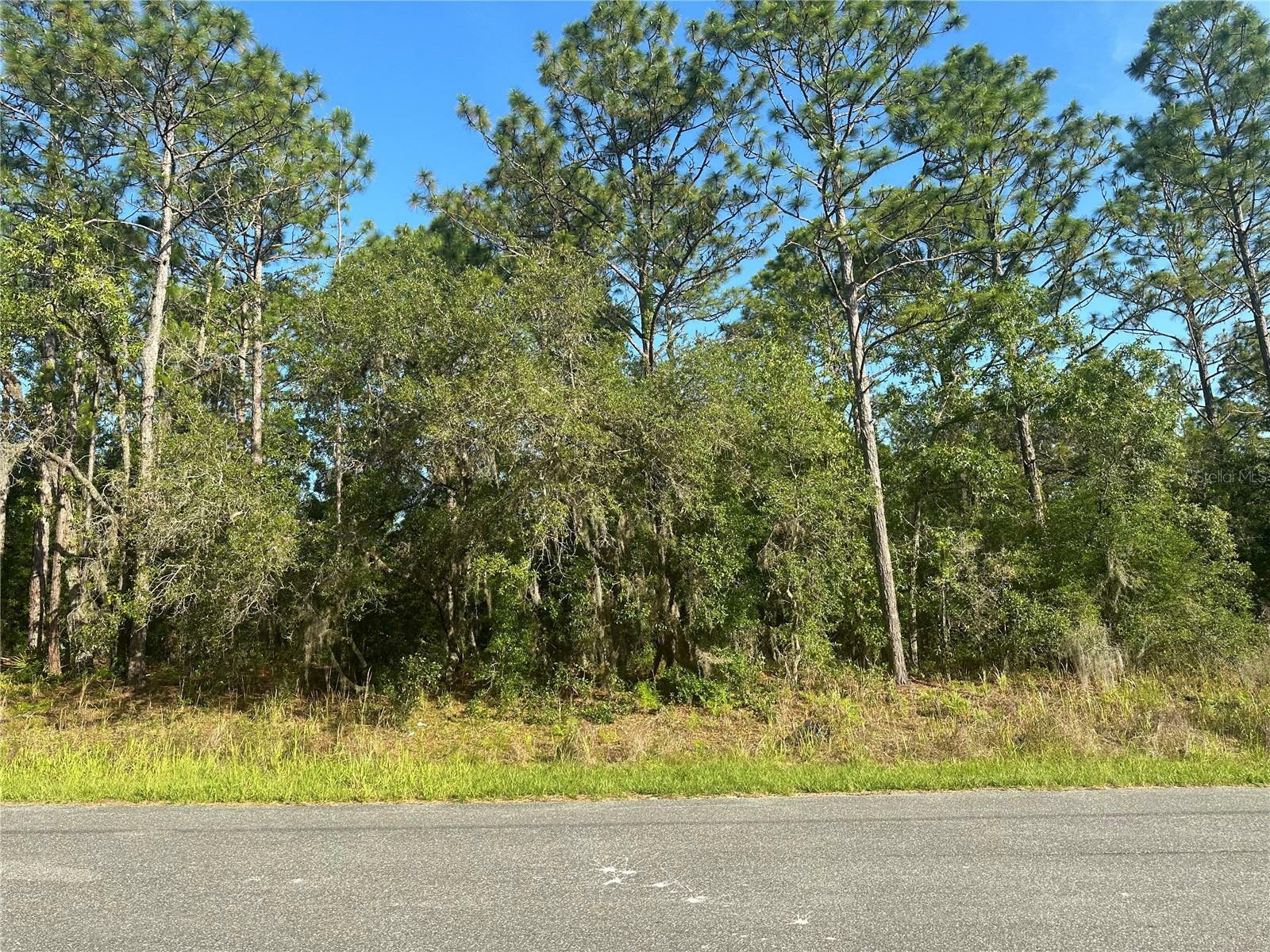 Property Photo:  8020 N Triana Drive  FL 34434 