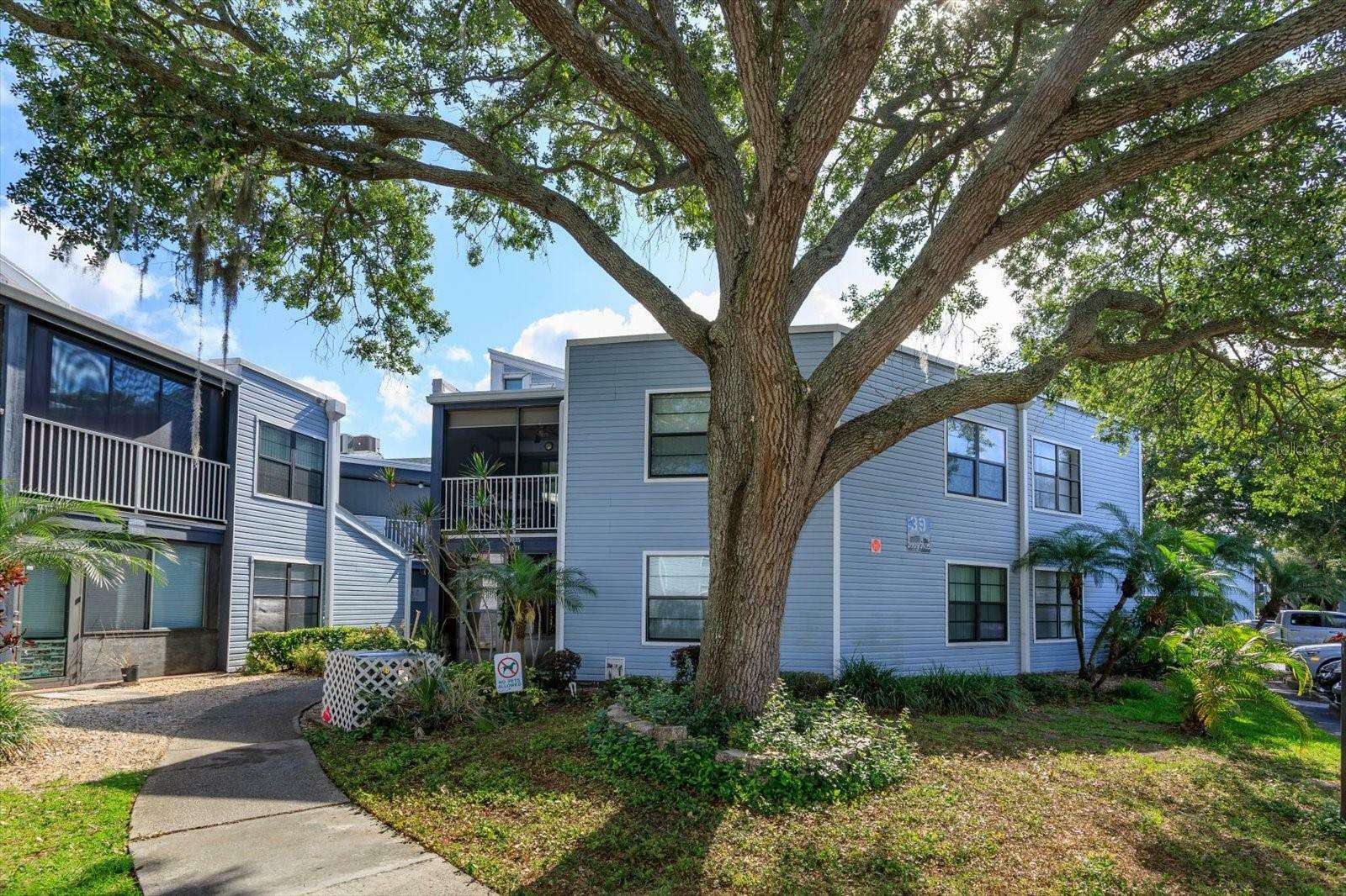 Property Photo:  3925 Atrium Drive 3  FL 32822 